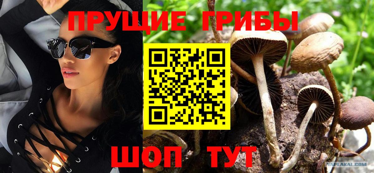 Зеленокумск  Галлюциногенные грибы прущие грибы  Вход с VPN  где купить   Галлюциногенные грибы Cubensis 